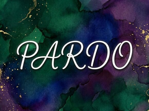Pardo: A Bold and Artistic Display Font